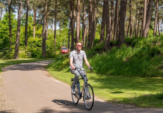 Fietsen bij Diana Heide