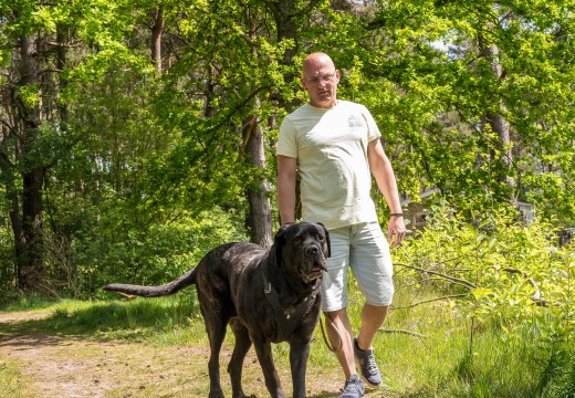 Hondencamping Drenthe - Camping Diana Heide