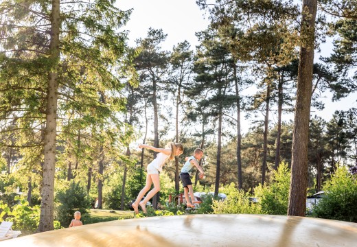 Airtrampoline op Camping Diana Heide in Drenthe