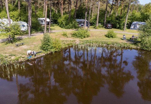 Visvijver bij Diana Heide