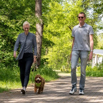 Camping Drenthe met hond - Camping Diana Heide