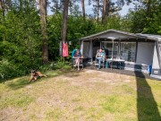 Comfortplaats XXL met hond - Camping Diana Heide in Drenthe
