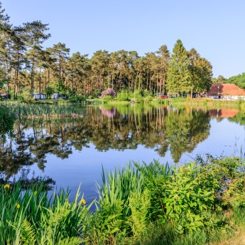 Diana Heide - Camping Drenthe - visvijver.jpg