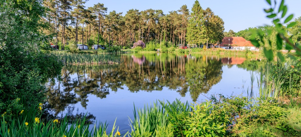 Diana Heide - Camping Drenthe - visvijver.jpg