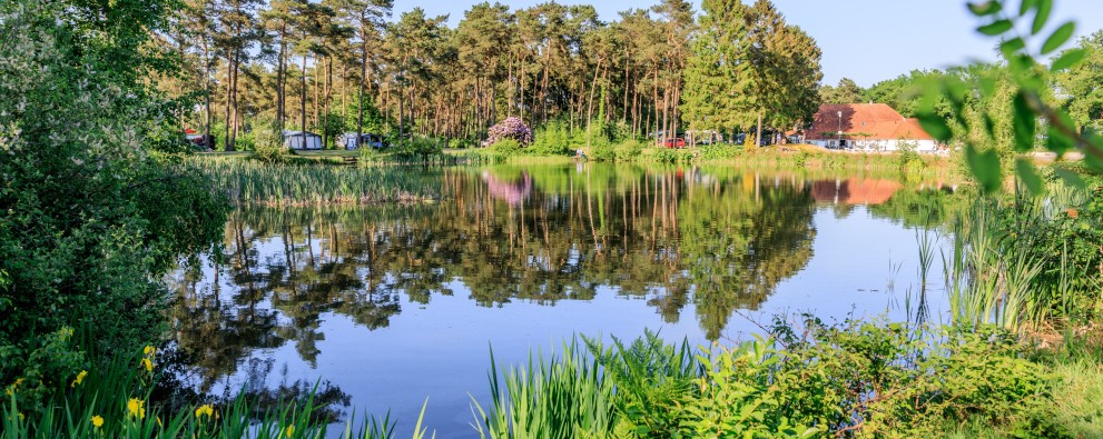Diana Heide - Camping Drenthe - visvijver.jpg