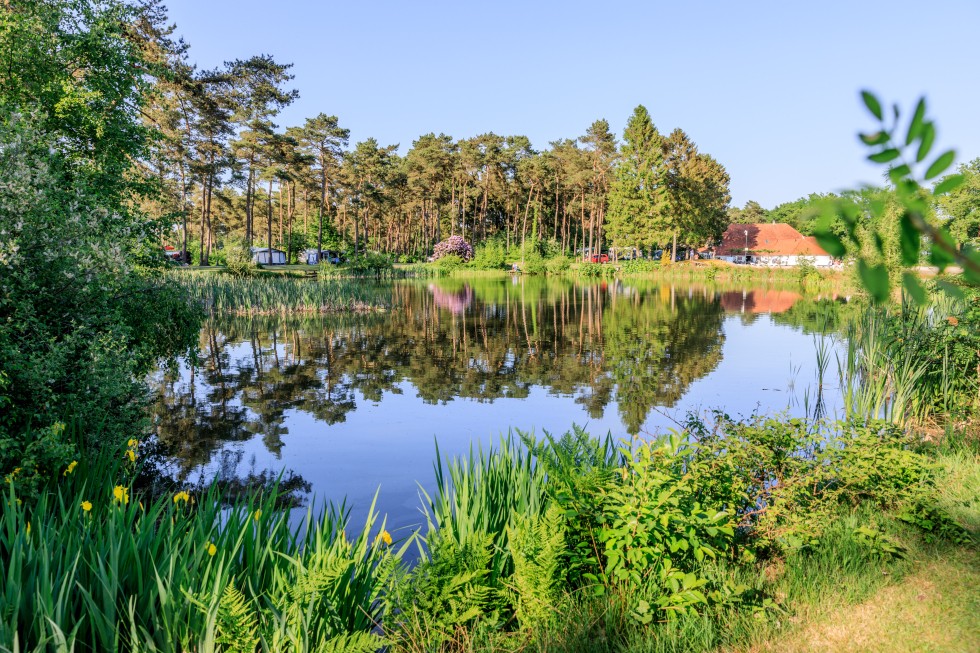 Kamperen Drenthe - Rust en ruimte