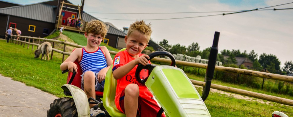 Drentse koe Skelteren met kabelbaan op achtergrond - Familiecamping Drenthe Drentse koe Skelteren met kabelbaan op achtergrond - Familiecamping Drenthe